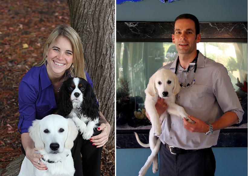 Animal and Bird Hospital of Del Mar Purchased by Dr. Steve